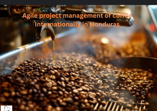 Agile project management of coffee Internationally in Honduras