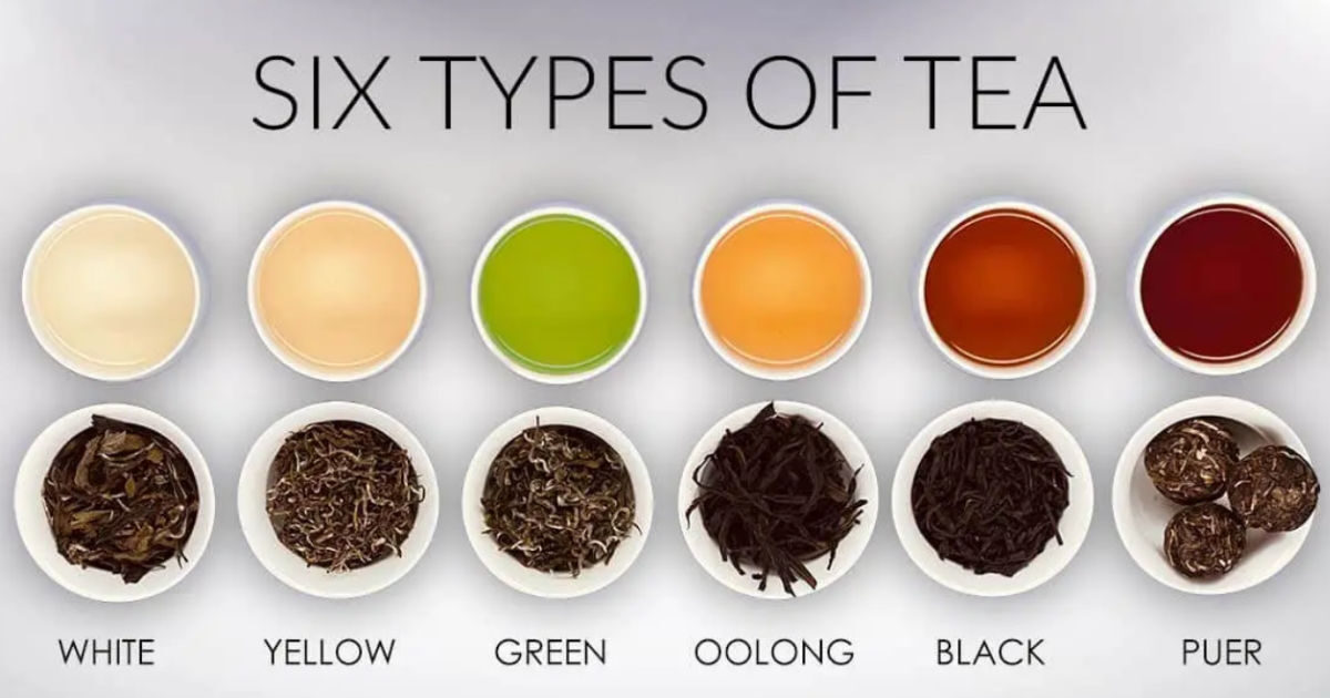 Types of Tea Through Flavors and 20 Health Benefits