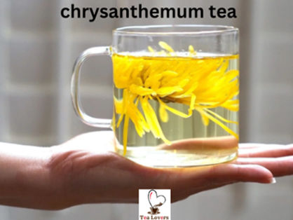 Chrysanthemum Tea