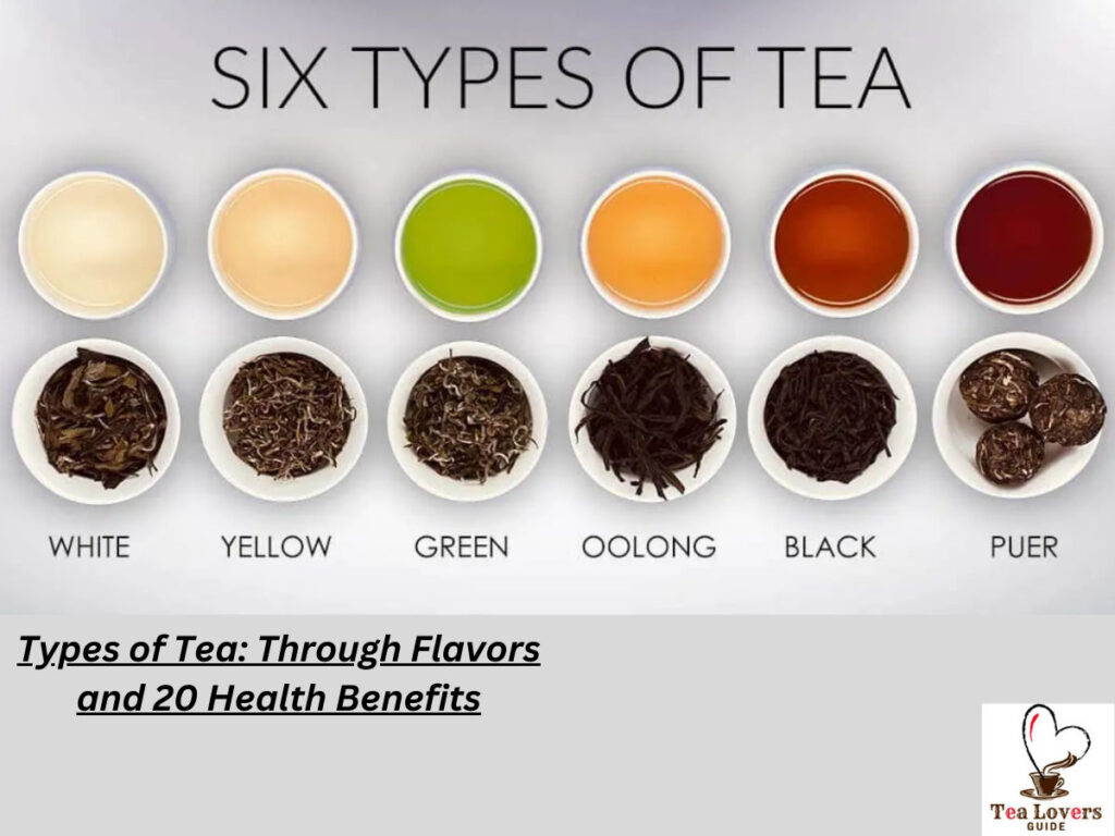 Types of Tea Through Flavors and 20 Health Benefits