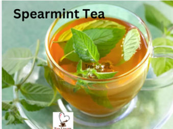 Spearmint Tea