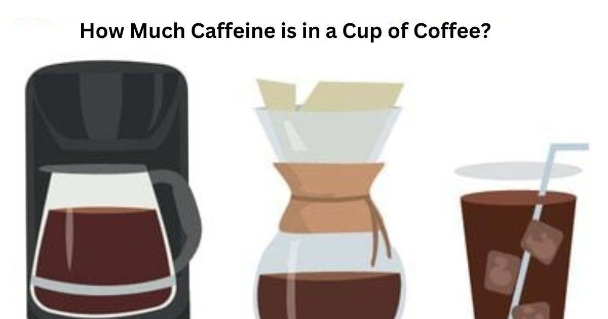 How Much Caffeine is in a Cup of Coffee